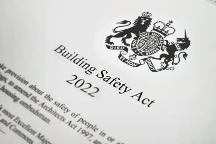 Section header graphic