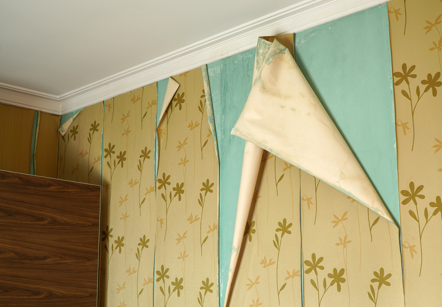 Section header graphic