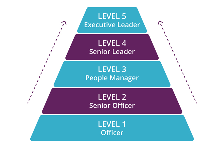 Section header graphic