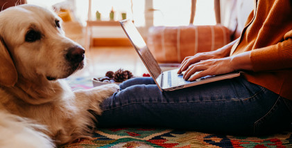 We’ve thought of home contents insurance – have you?